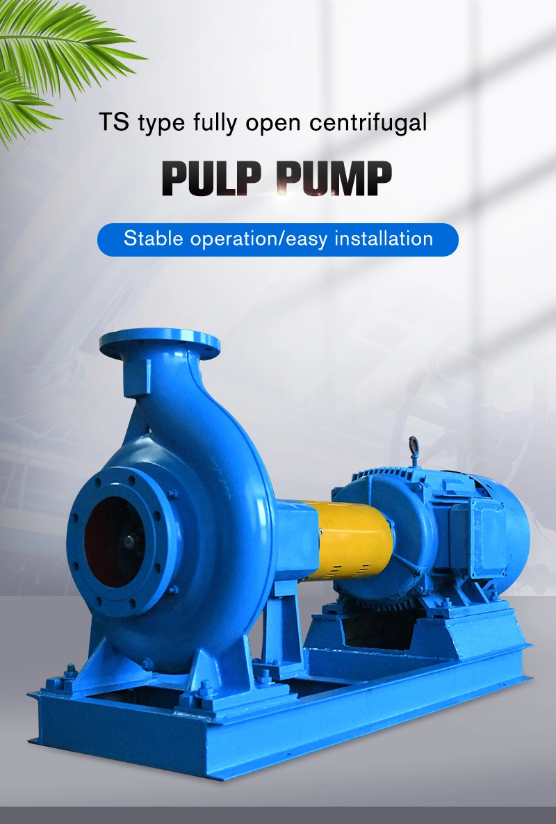 Centrifugal Paper Pulp Pump Slurry Pump/ Electric Pump/Chemical Pumps/Vacuum Pump/Water Ring Pump/Nash Pump/Low Pulse Pump/Doble Flow Pulp Pump