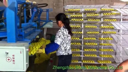 Máquina de fabricação de bandeja de ovo de polpa de papel Linha de produção de bandeja de ovo de fruta